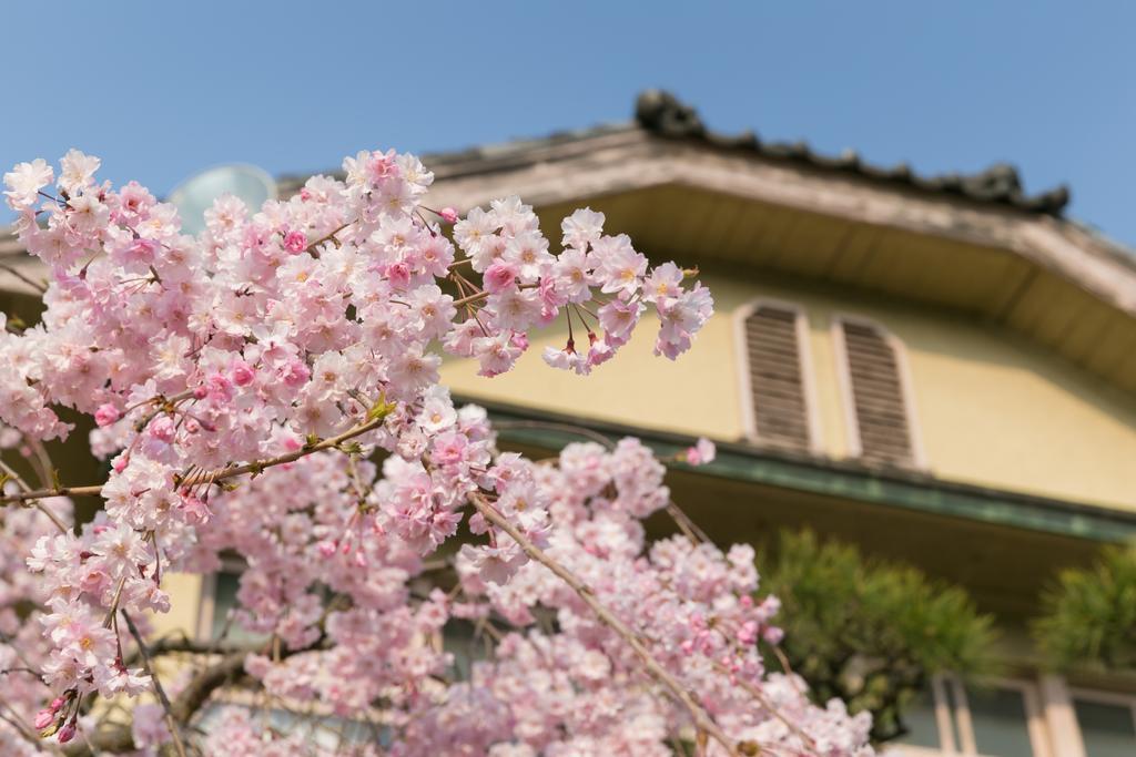 Nishiyama Bekkan Onomicsi Kültér fotó